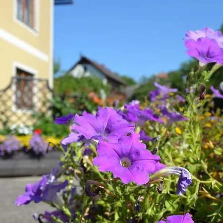 Haus Lindenhofer * Эммерсдорф-на-Дунае